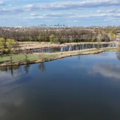 Spokojny staw otwarty, otoczony drzewami i trzcinami, z panoramą miasta w tle.