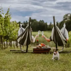 Para osób ceniących enoturystykę: para w hamakach wznosi toasty winem w winnicy, a obok siedzi piesek.