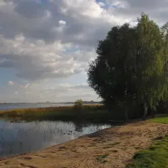 Piękny krajobraz nad jeziorem z piaszczystą plażą, torami kolejowymi i drzewami. To miejsce oferuje wiele atrakcji dla miłośników natury.