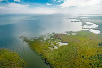 Rozległe tereny podmokłe nad Wisłą, porośnięte trzcinami i trawami, z wodnymi rozlewiskami.