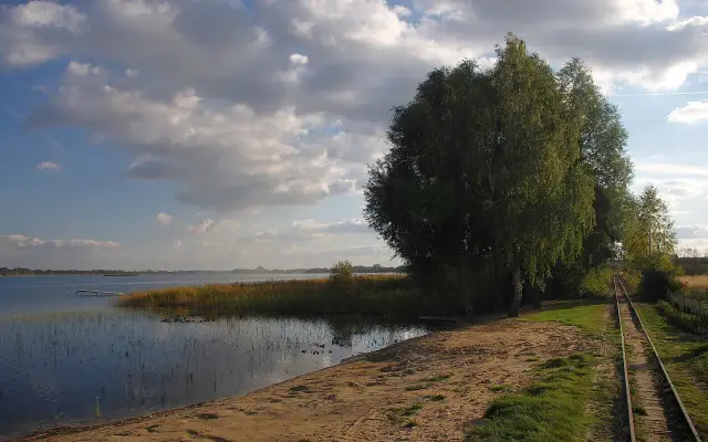 Piękny krajobraz nad jeziorem z piaszczystą plażą, torami kolejowymi i drzewami. To miejsce oferuje wiele atrakcji dla miłośników natury.